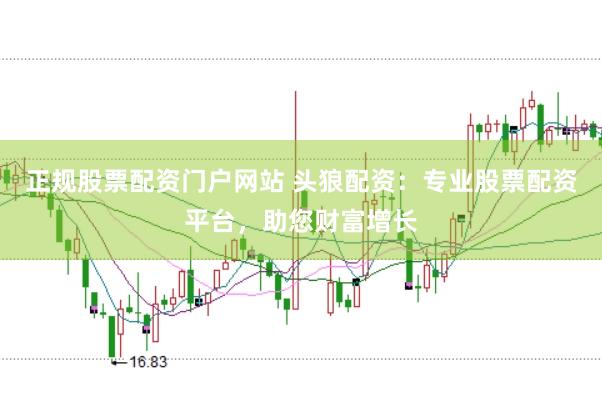 正规股票配资门户网站 头狼配资：专业股票配资平台，助您财富增长