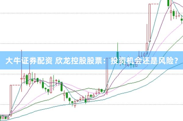 大牛证券配资 欣龙控股股票：投资机会还是风险？