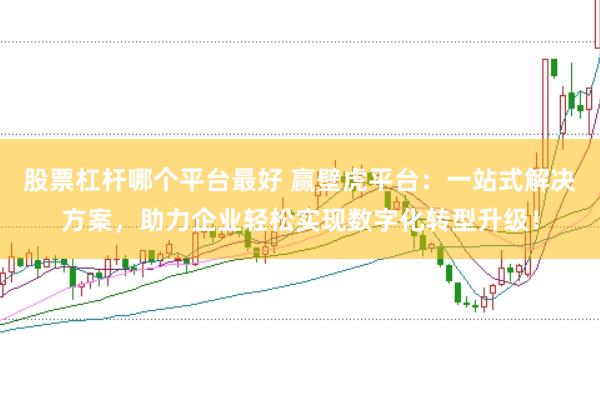 股票杠杆哪个平台最好 赢壁虎平台：一站式解决方案，助力企业轻松实现数字化转型升级！