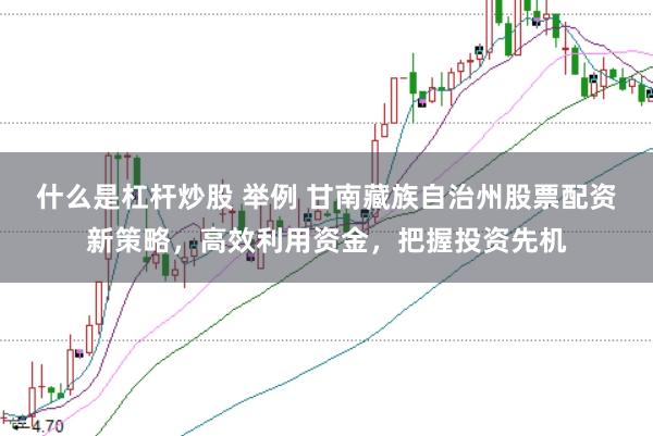 什么是杠杆炒股 举例 甘南藏族自治州股票配资新策略，高效利用资金，把握投资先机