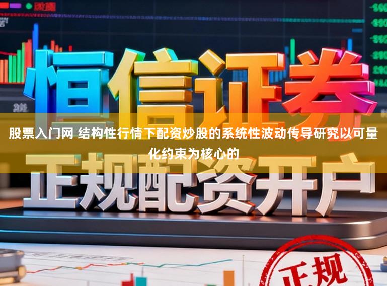 股票入门网 结构性行情下配资炒股的系统性波动传导研究以可量化约束为核心的